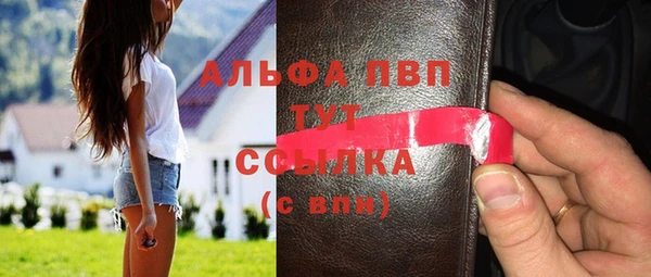 ПСИЛОЦИБИНОВЫЕ ГРИБЫ Козловка