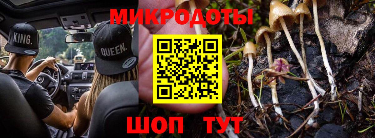 Михайловка  Псилоцибиновые грибы GOLDEN TEACHER  Вход с VPN 